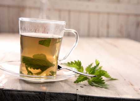Cup of healthy fresh stinging nettle tea in a transparent glass mug with fresh leaves alongside in a rustic kitchen, low angle view with copyspaceの写真素材