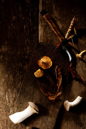 Fresh autumn mushrooms with pleurotus oyster fungi lying waiting to be prepared for cooking on an old wooden counter in a rustic kitchen, high angle view, conceptual of seasonal cuisineの写真素材