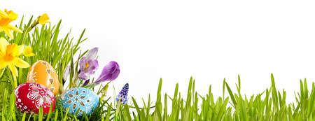 Colorful horizontal Easter egg banner with spring flowers in a green grassy meadow isolated over...