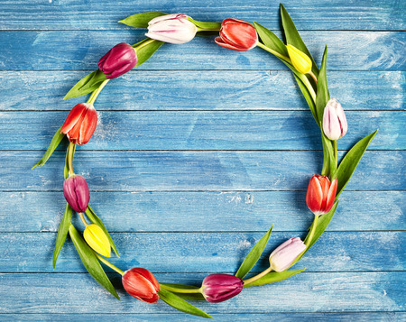 Circular frame of colorful spring tulips on a blue wooden background with central copy spaceの写真素材