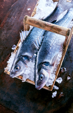 Two fresh Loup de mer fish on ice, also known as the Mediterranean sea bass or sea dace, fresh from the catch in a rustic basket viewed from aboveの写真素材