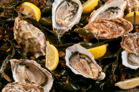 Fresh shucked oysters on a bed of kelp served with lemon wedges for flavoring in a closeup overhead full frame viewの写真素材