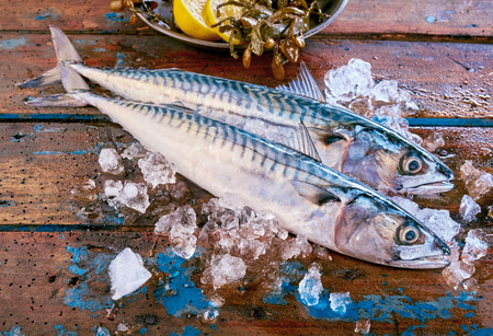 Full top down view of side sections of mackerel fish surrounded by crushed ice on wooden table beside dish of lemon slicesの写真素材
