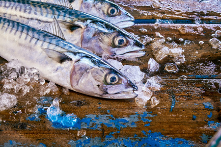 Cropped view of dead mackerel fish surrounded by crushed ice on wooden table ready for cookingの写真素材