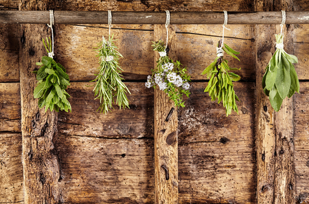 Five bunches of assorted fresh culinary herbs hanging on a rail over an old weathered rustic wooden background with copy spaceの写真素材