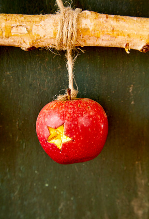 Decorative carved Christmas apple decoration with a star cut into the red skin hanging by a string on a twigの写真素材