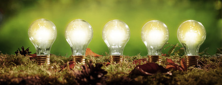 Panorama banner with five glowing light bulbs positioned in moss over a blurred green outdoor background in an ecological and environmental conceptの写真素材