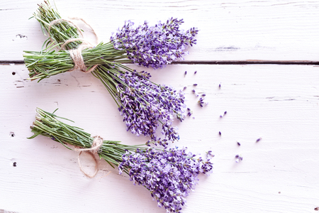Bunches of fresh purple lavender with scattered small flowers on a painted white wood background with copy space viewed from aboveの写真素材