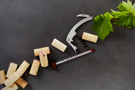 Wine making equipment including corks, thermometer, bottle opener and green grape leaves isolated on a dark background with copy space.の写真素材