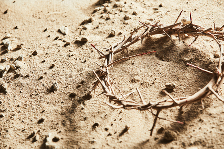 Crown of thorns lying on barren ground in close up viewの写真素材