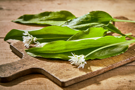 Fresh baerlauch or wild garlic leaves and flowers on a a rustic wooden chopping board and table.