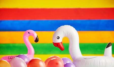 Pink flamingo and white goose balloons along with normal balloons in front of multicolored striped backgroundの写真素材