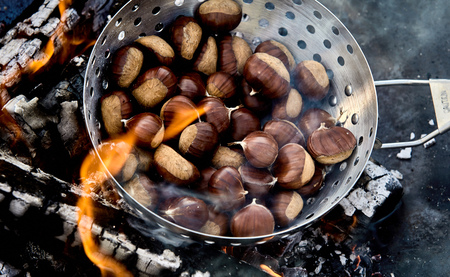 Roaster full of fresh whole sweet chestnuts in their shells roasting on the hot coals of a barbecue a fire in a close up high angle viewの写真素材