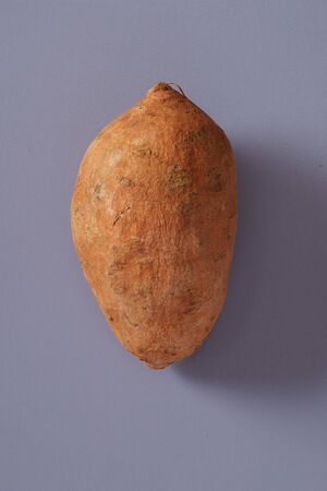 Single healthy fresh raw whole sweet potato or yam lying on a grey backgroundの写真素材