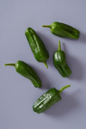 Five fresh spicy green jalapeno chili peppers  on a grey background