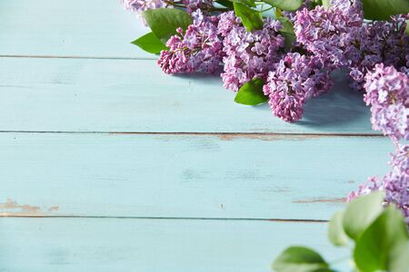 Decorative spring background with purple lilac blossoms arranged in the corner over rustic light blue wood with copy spaceの写真素材