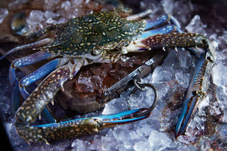 High angle of assorted food and drinks for breakfast arranged on bright yellow backgroundの写真素材