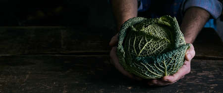 From above anonymous male farmer demonstrating fresh green cabbage over dark wooden tableの写真素材