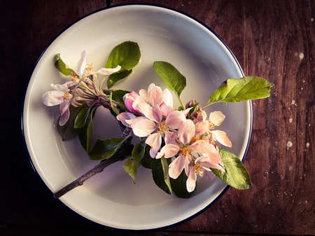 Top view of blooming tree branch with tender flowers placed in bowl on wooden tableの写真素材