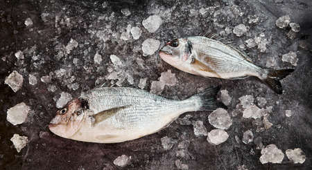 Two whole fresh raw gilt-head bream in a vintage metal wok or skillet with pink Himalayan salt, lemon and herbs for seasoning in a top down view on a rustic tableの写真素材