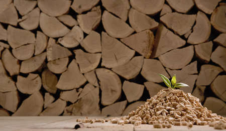 Pile of compressed cylindrical pellets with fresh green leaf scattered on floor against stack of...