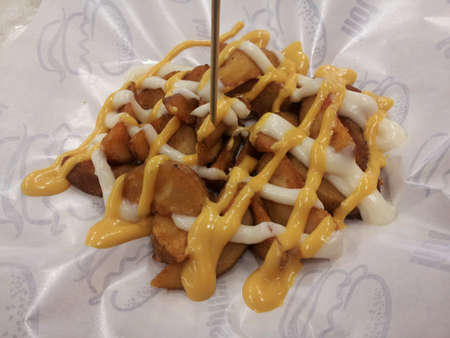 Fried potato wedges served with cheese and mayonaise