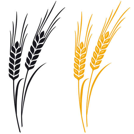 Ears of Wheat, Barley or Rye visual graphic icons, ideal for bread packaging, beer labels etc.のイラスト素材