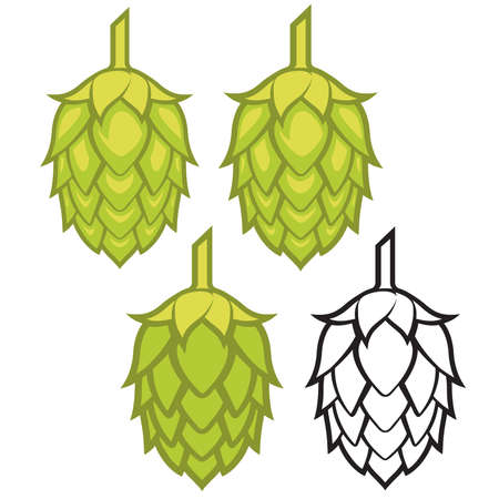 Hops visual graphic icon, ideal for beer, ale, lager, bitter labels and packaging etc.の写真素材