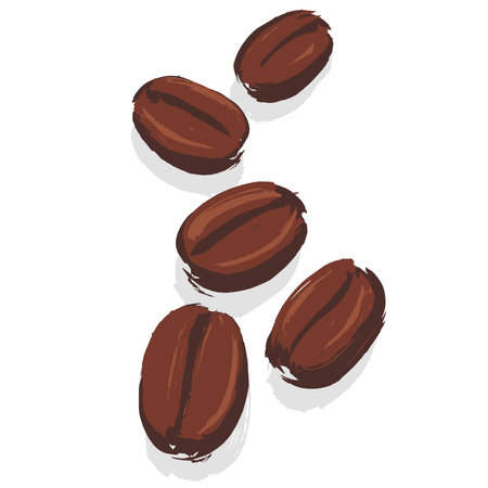 Roasted Coffee Bean illustration on white background, hand drawn with paint & brushのイラスト素材