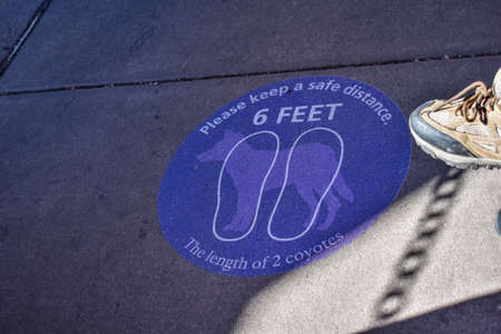 Grand Canyon National Park, Arizona, USA - November 22, 2021: Blue Marker on the Ground Reminding Visitors to Engage in Social Distancing While Waiting for the Bus Comparing Six Feet to a Coyoteのeditorial素材