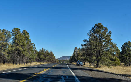 Williams, Arizona, USA - November 22, 2021: Evergreen trees adorn the highway from Williams, Arizona to the Grand Canyon with a mountain in the background on a bright, sunny, fall morningのeditorial素材