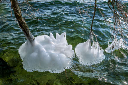 Ice formation on branches in winter at Lake Starnberg, Bavaria, Germany, Europeの写真素材