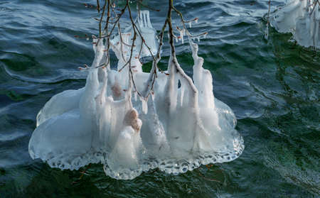 Ice formation on branches in winter at Lake Starnberg, Bavaria, Germany, Europeの写真素材