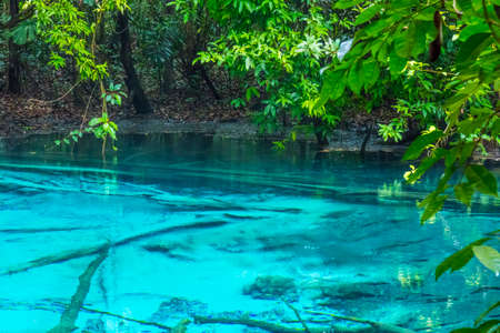 Warm water streams Sa Morakot, Wildlive Sanctuary, Spring Pool, Khao Pra, Bangkram Krabi, Thailand. Southeast Asiaの写真素材