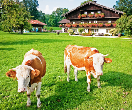 typical bavarian farmhouse near rosenheim germanyのeditorial素材