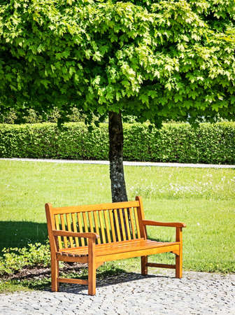 wooden park bench at a park
