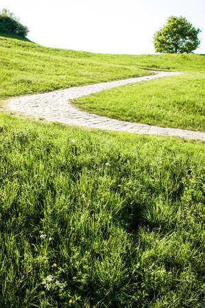 old cobblestone footpath at a park