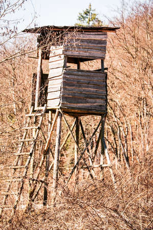 wildlife observation point - raised blindの写真素材