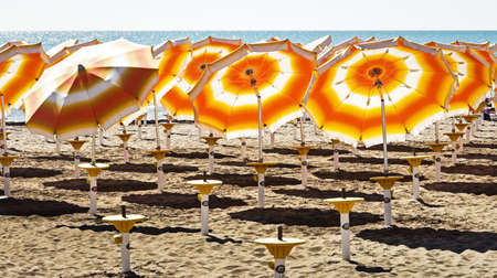 orange sunshades at a beachの写真素材