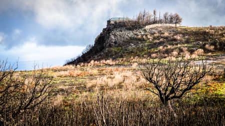landscape on madeira - portugalの写真素材