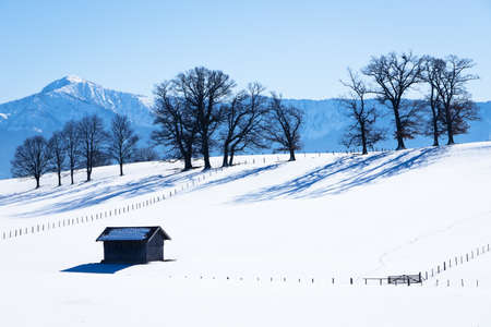 trees and hut at a field in winterの写真素材
