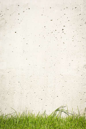 modern concrete wall and grass - nice background with space for textの写真素材