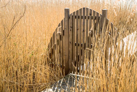 wooden gate at a pierの写真素材