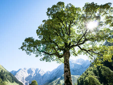 karwendel mountains in summer - austriaの写真素材