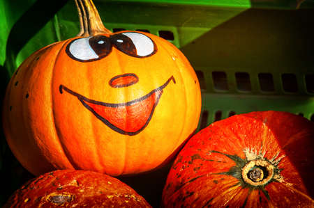 beautiful smiling halloween pumpkin - photoの写真素材