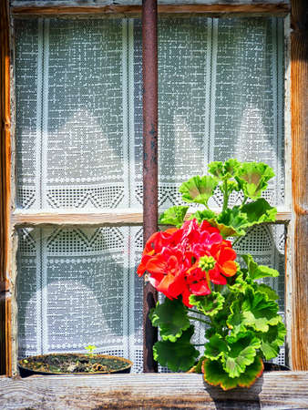 window of a typical old austrian farmhouseの写真素材