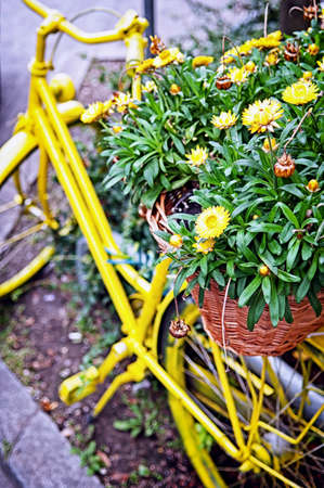 flowers decorated at an old bicycleの写真素材