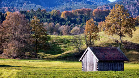 beautiful old stable at a meadowの写真素材