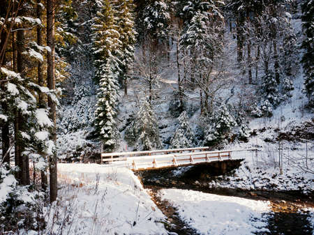 old wooden bridge at winter