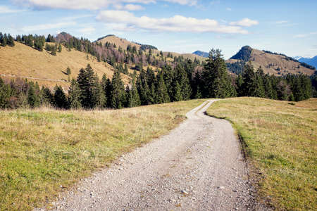 dirt road at the european alpsの写真素材